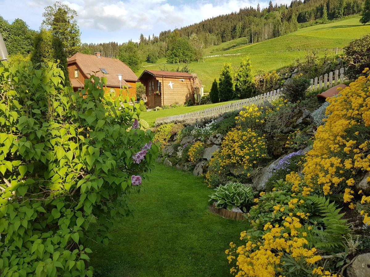Appartement BERGTRÄUME Haus im Ennstal Extérieur photo